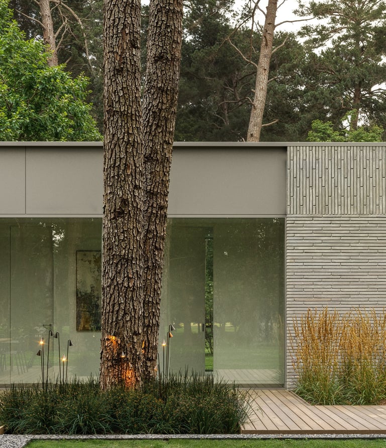 modernus vieno aukšto projektas