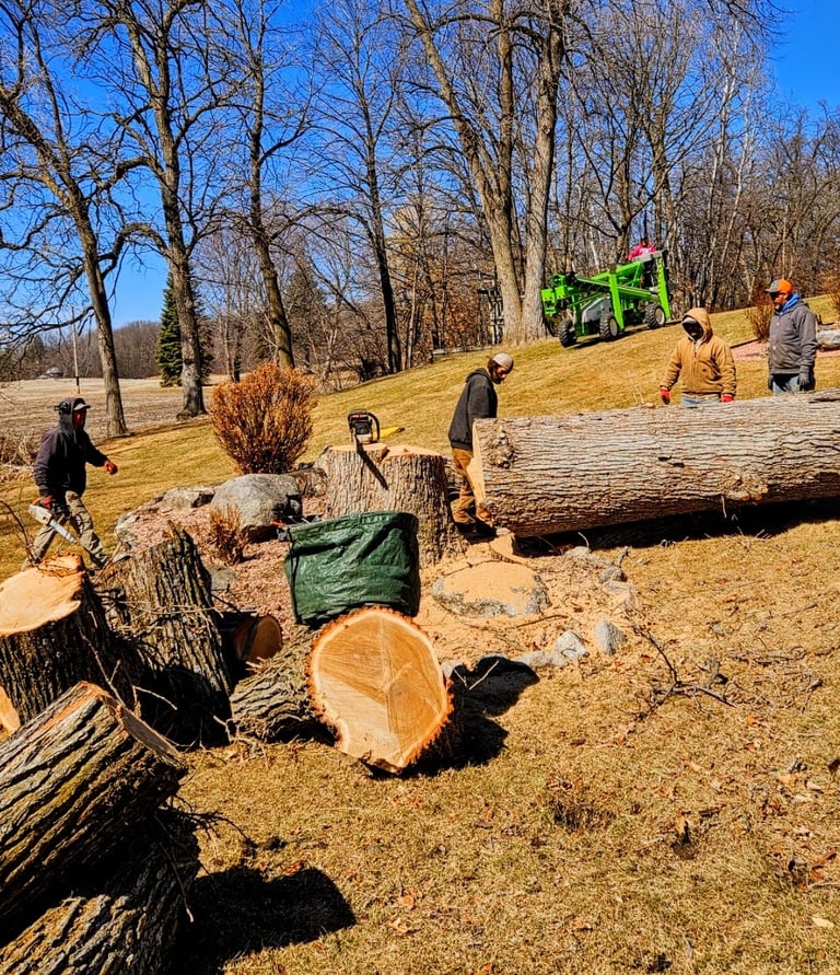 The crew getting to it in a back yard outside of Chanhassen, MN