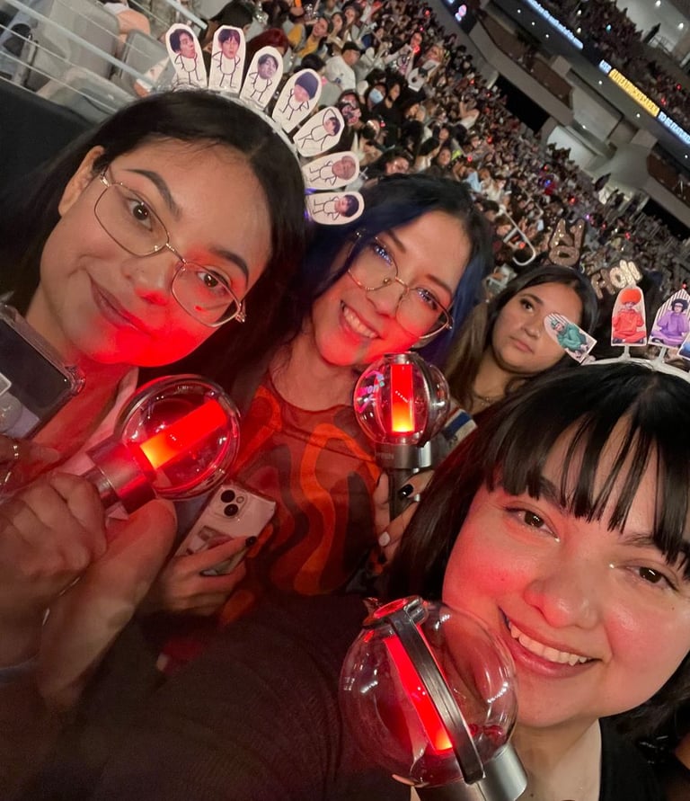 Fandom disfrutando del concierto con su lightstick