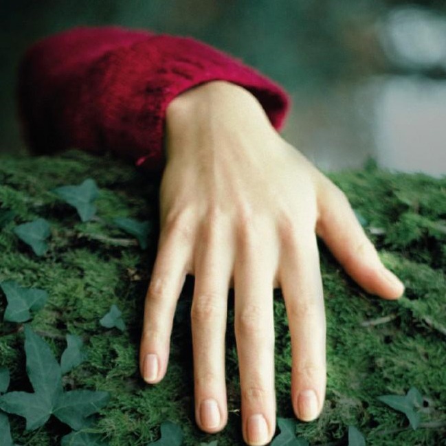 Mano El Guardián Invisible