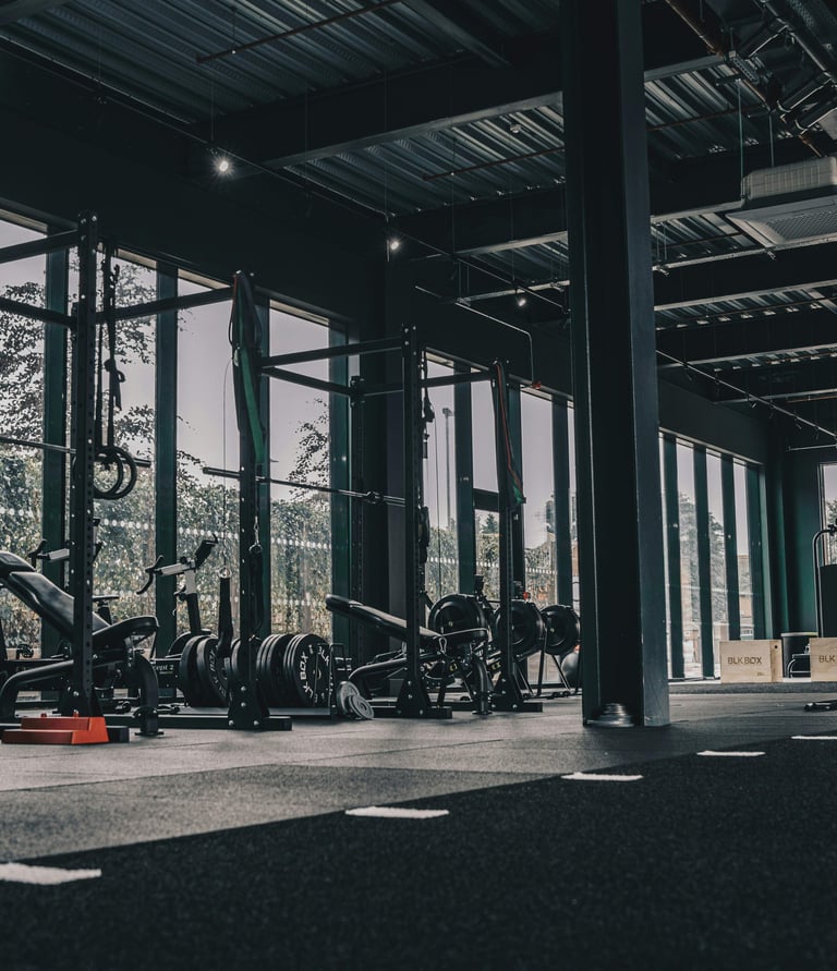 gym photo that shows  growth and getting more  clients  in athletarum.com company 