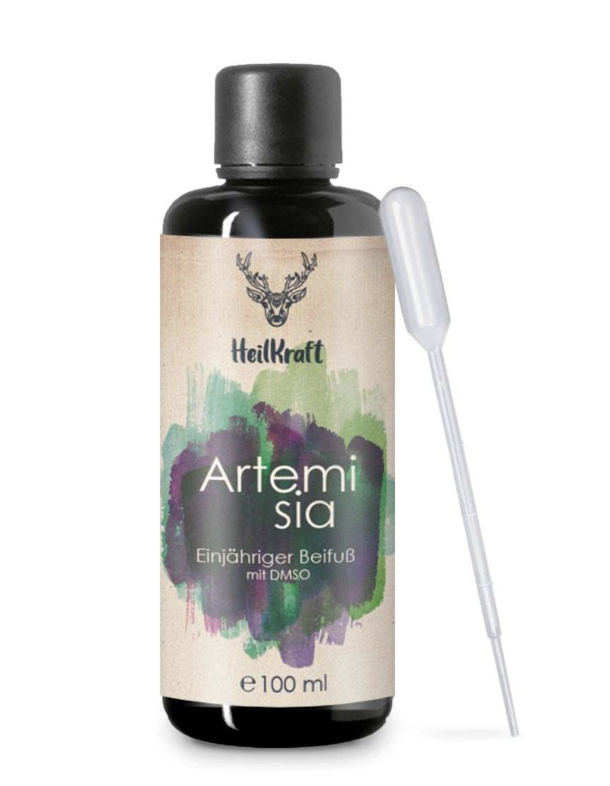 Artemisia Annua - Einjähriger Beifuß - THP Nicole Hempel 