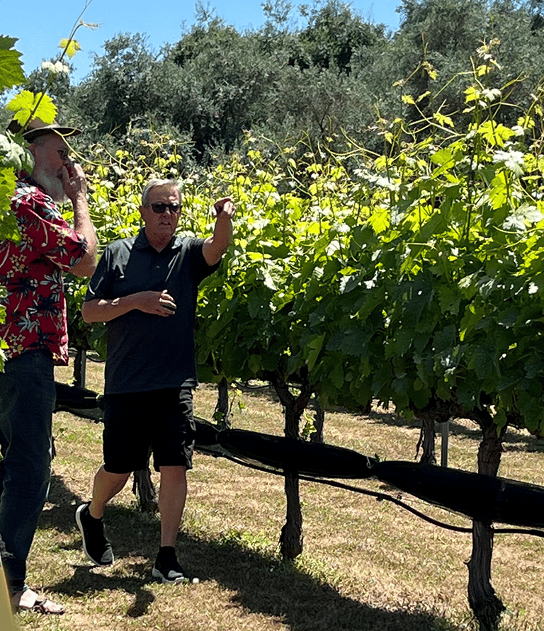 Gary walking with a guest in the vines