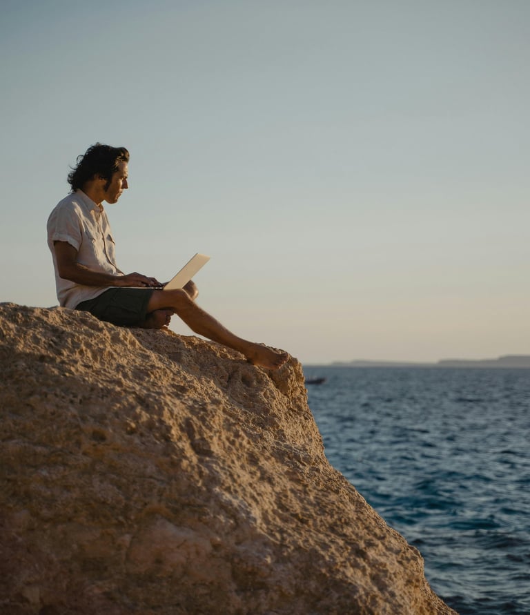 a man sitting on a rock with a laptop