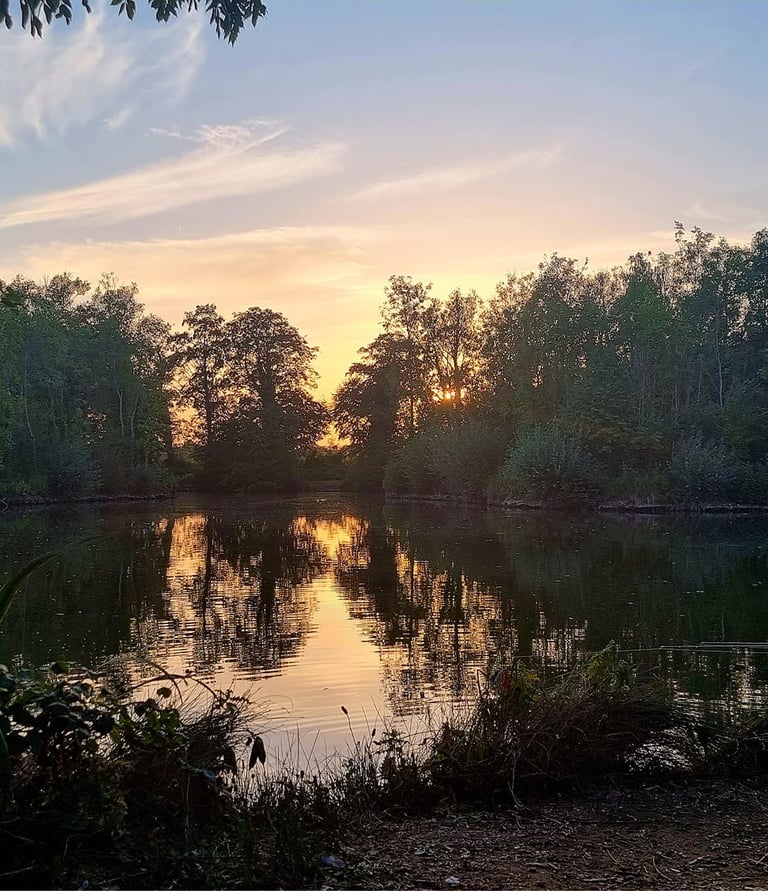 Evening at Willington