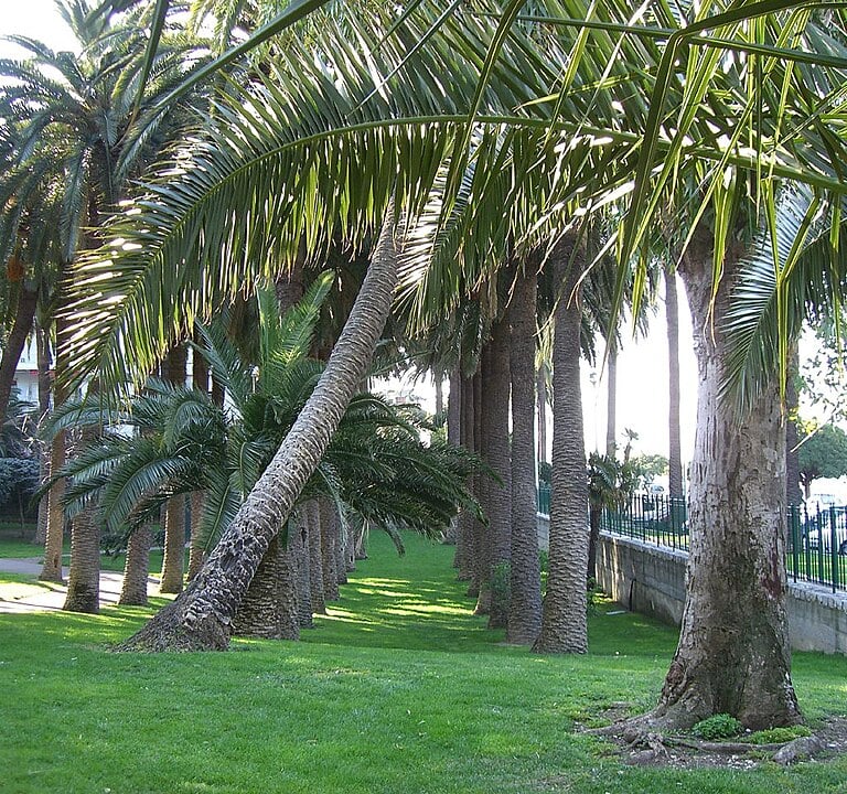 Parc Vigier