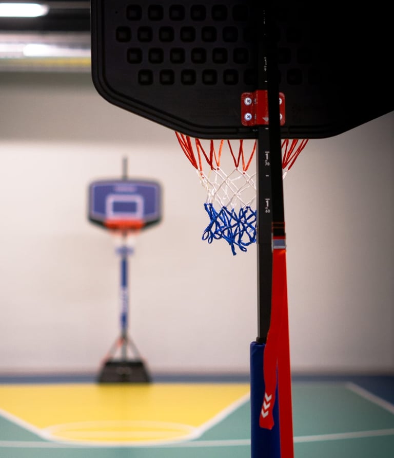 Canestro da basket nell'area multisport della palestra Move 2 Grow a Milano, con campo colorato sullo sfondo.