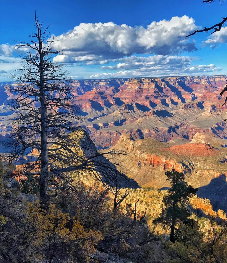 a view of a scenic view of a grand canyon