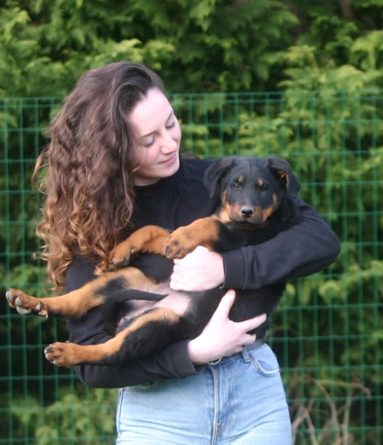 a woman holding a puppy dog in her arms