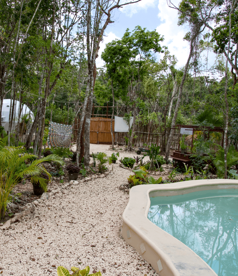 Un paraiso en la Selva Maya - Venamarte