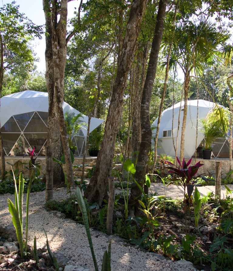 Glamping únicos en Venamarte