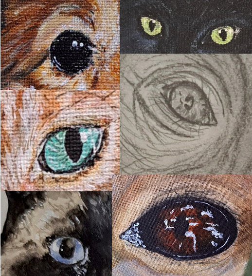 A Montage of eyes that Siobhan Guthrie has painted or drawn