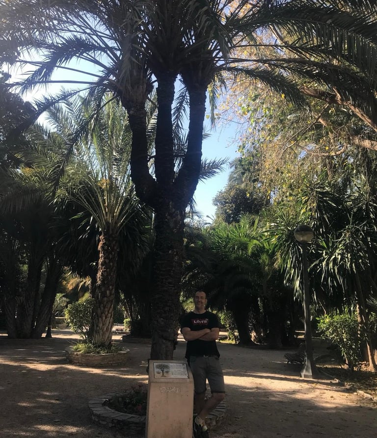 palmeral de Elche