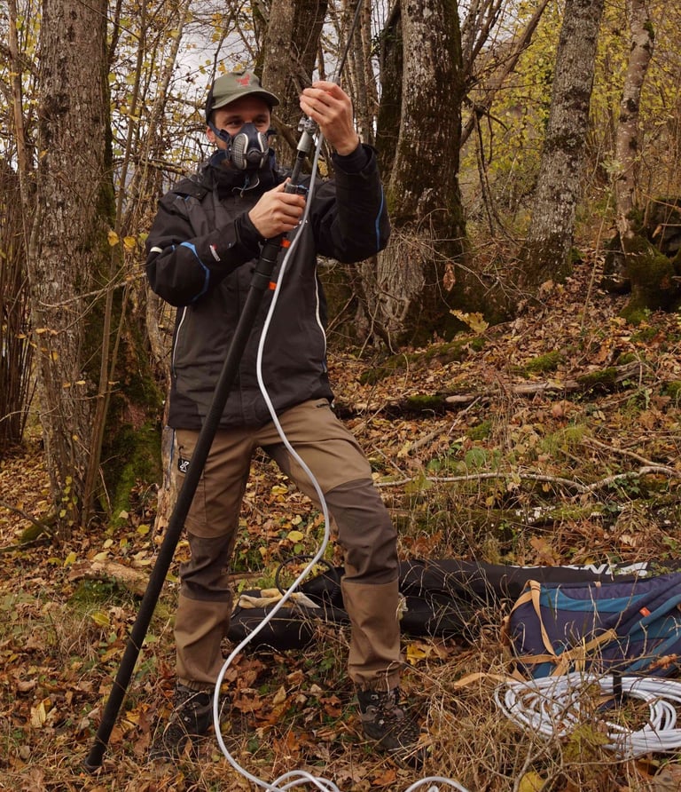 destruction frelons asiatique haute-savoie , annemasse, cluses, bonneville, la roche-sur-foron