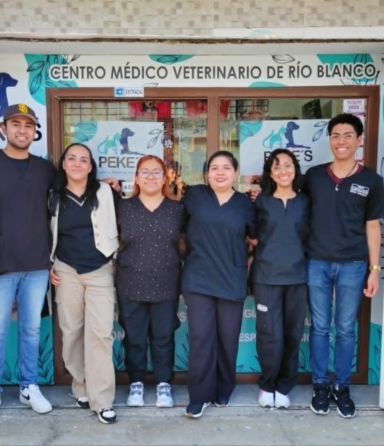 Equipo medico de Veterinaria Pekes