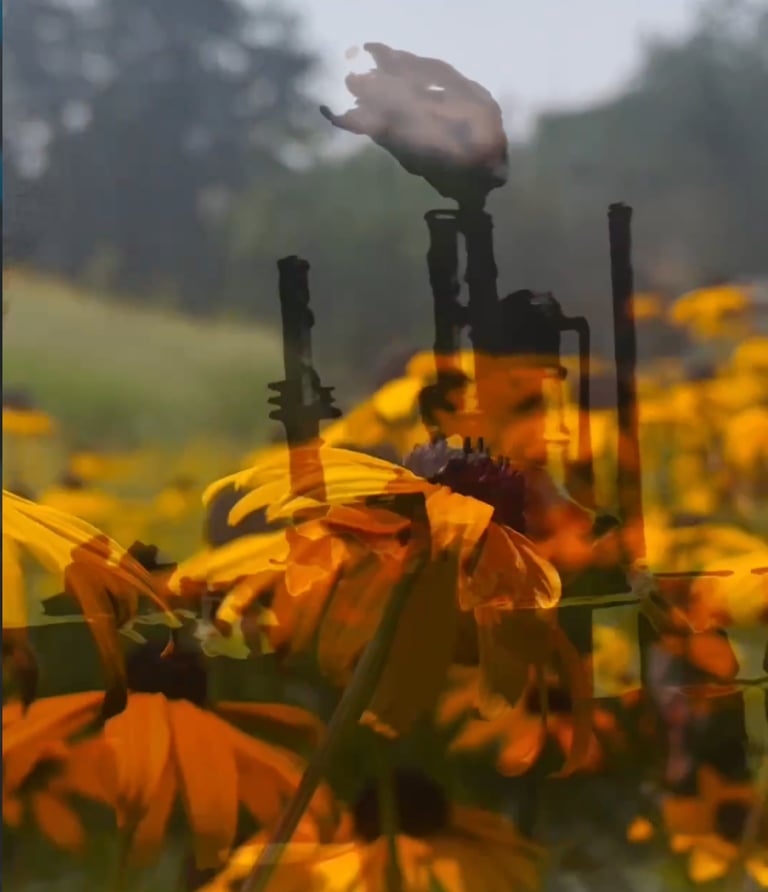 A smokestack superimposed over a field of flowers