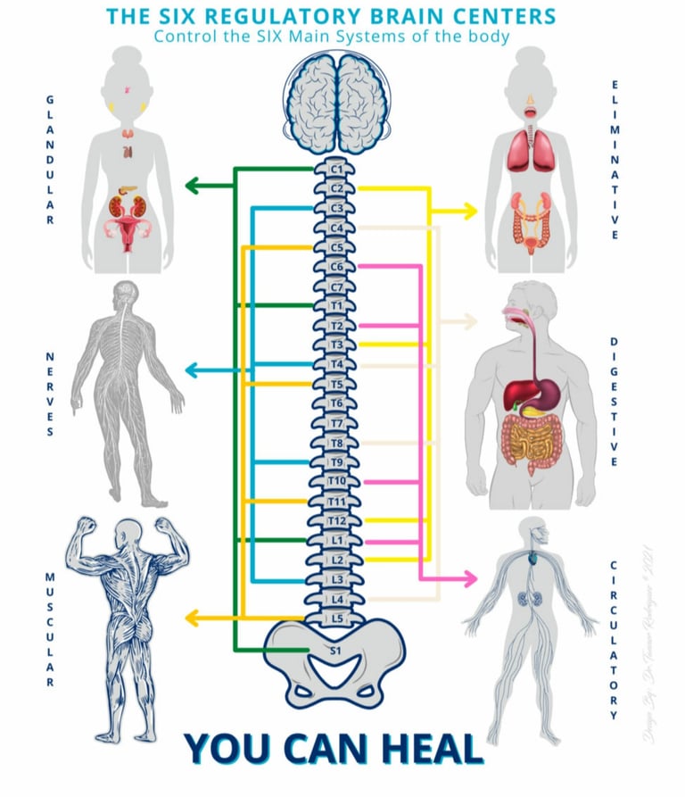 Vetrivel Health center best chiropractic and varamam theraphy 