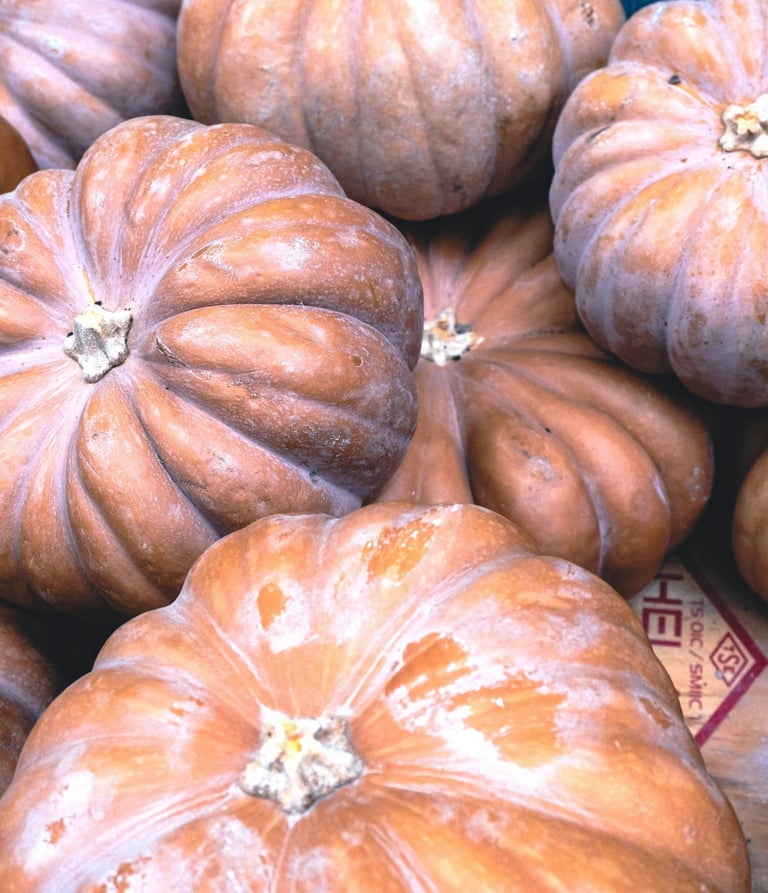 a bunch of pumpkins and other pumpkins