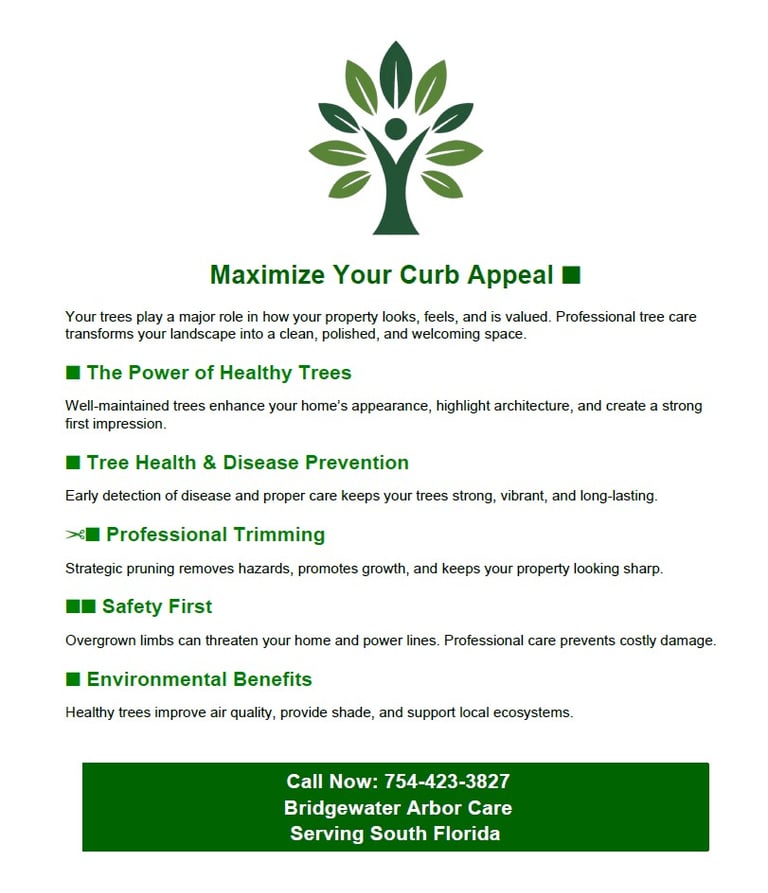Professional tree care services flyer for Bridgewater Arbor Care in South Florida.