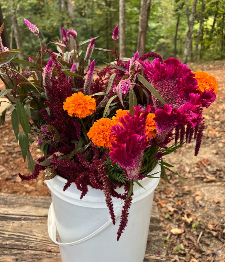Love the warm, deep tones of these flowers.