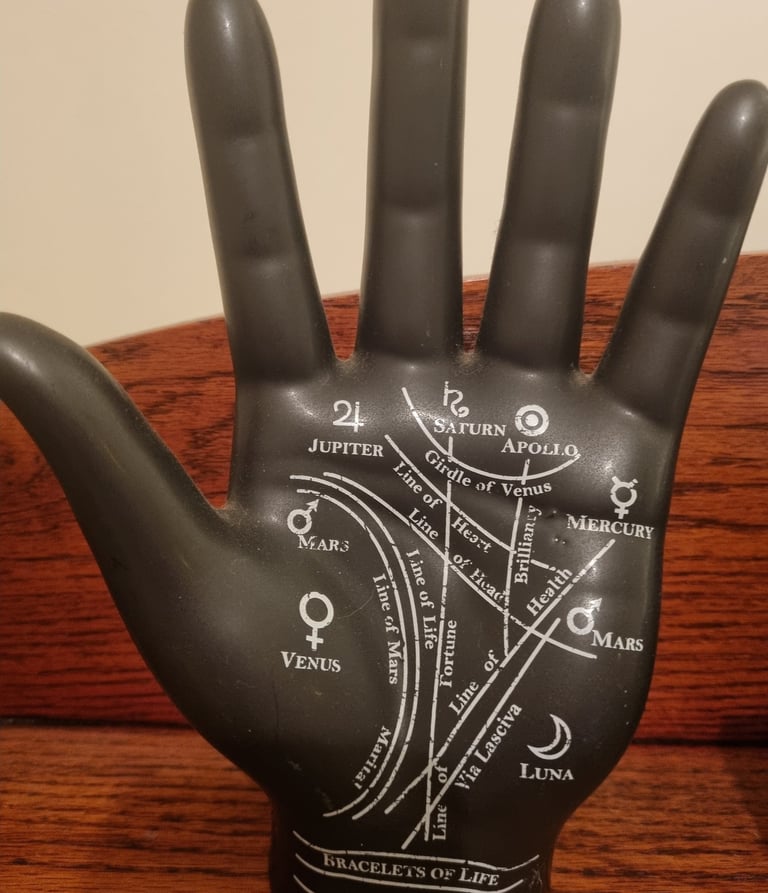 model of a palm showing the lines