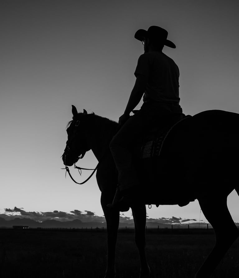 a silhouette of a man in a cowboy hat riding a horse