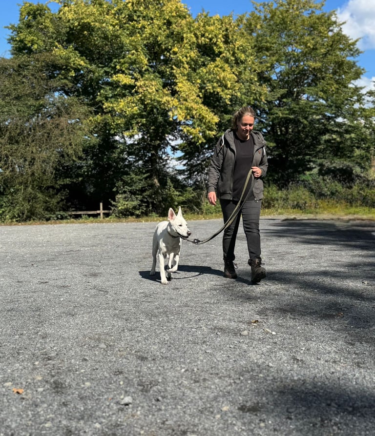 Katja Hundetrainerin aus Menden beim Einzeltraining