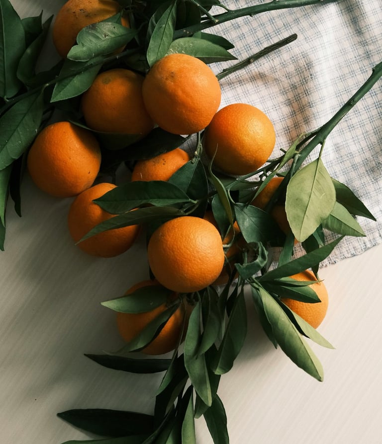 Aprendeblog Dieta Gerson
