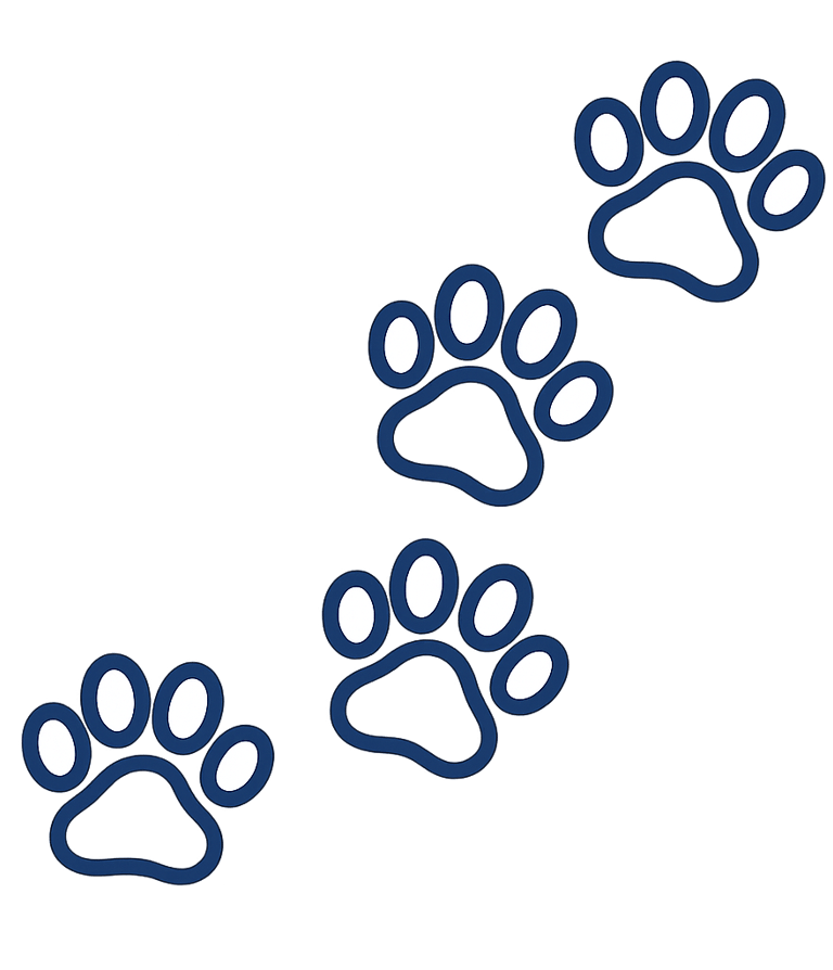 Simple paw print graphic used for Doo Ing It pet waste removal service branding in Salem.