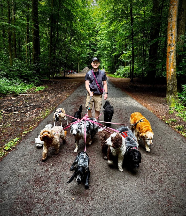 Professional Dog Walking, Sitting & Coaching Services in Brussels