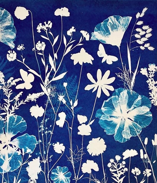 impression de cyanotype