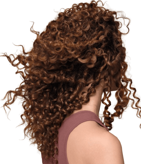 Hair model