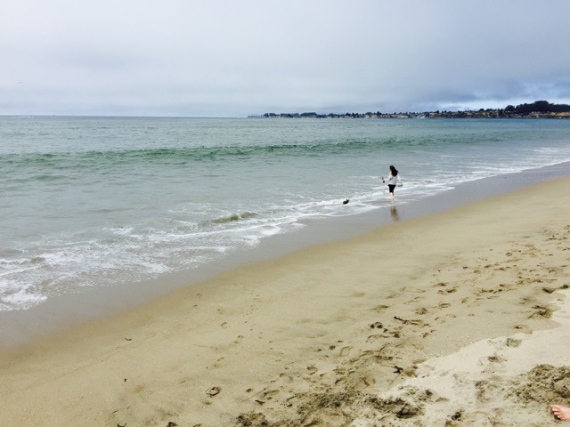 owner of Ink and Iris walking a small dog along the sand at the foot of the pacific ocean.
