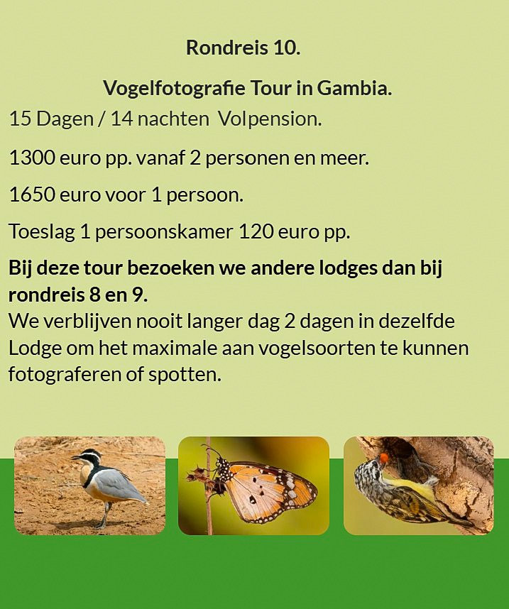 Flyer Tour 10 – 15-daagse vogelfotografie Gambia rondreis, full board, prijs vanaf €1300 p.p. Verbli