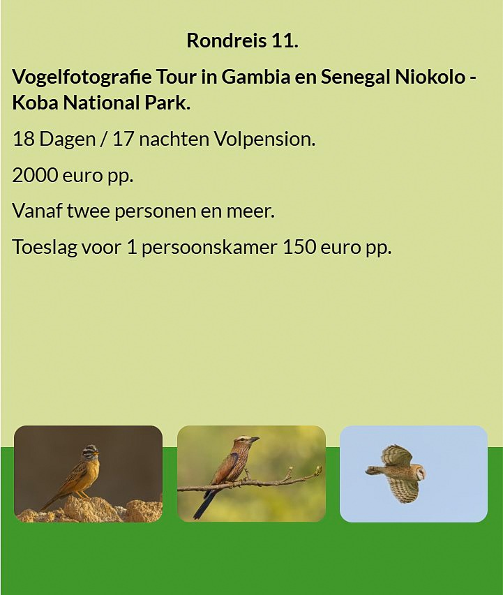Flyer Tour 11 – 18-daagse vogelfotografie Gambia & Senegal rondreis naar Niokolo-Koba National Park,