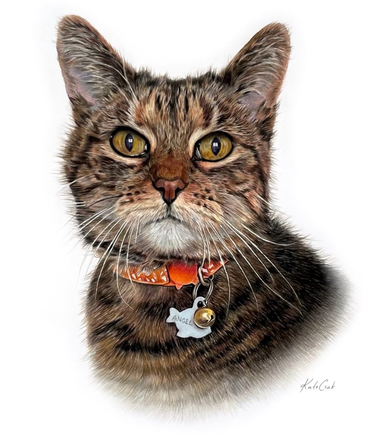 Detailed colored pencil pet portrait of a brown tabby cat named Angel with an orange collar.