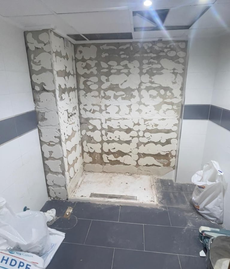 Reforma de bano antes