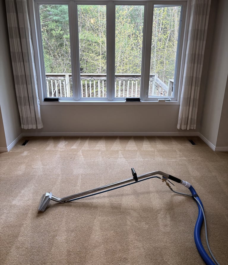 Steam carpet cleaning in progress with wand tool on freshly cleaned carpet in a bright bedroom.