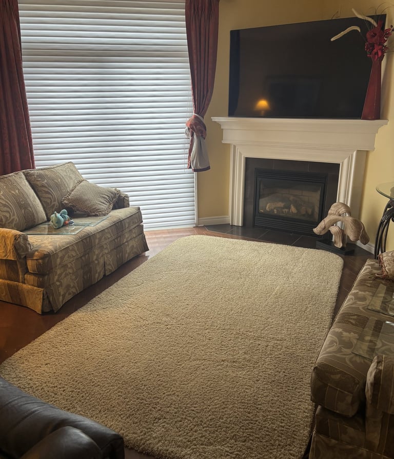Freshly cleaned area rug in a cozy living room with fireplace, sofa, and natural light.