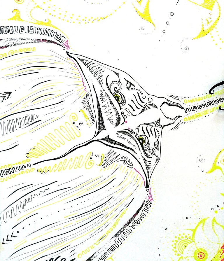 dessin de raie manta aux motifs psychédéliques au feutre fin r