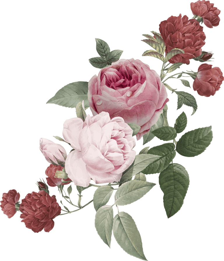 ısparta gülü, ısparta gül kozmetik, ısparta kozmetik ambalaj