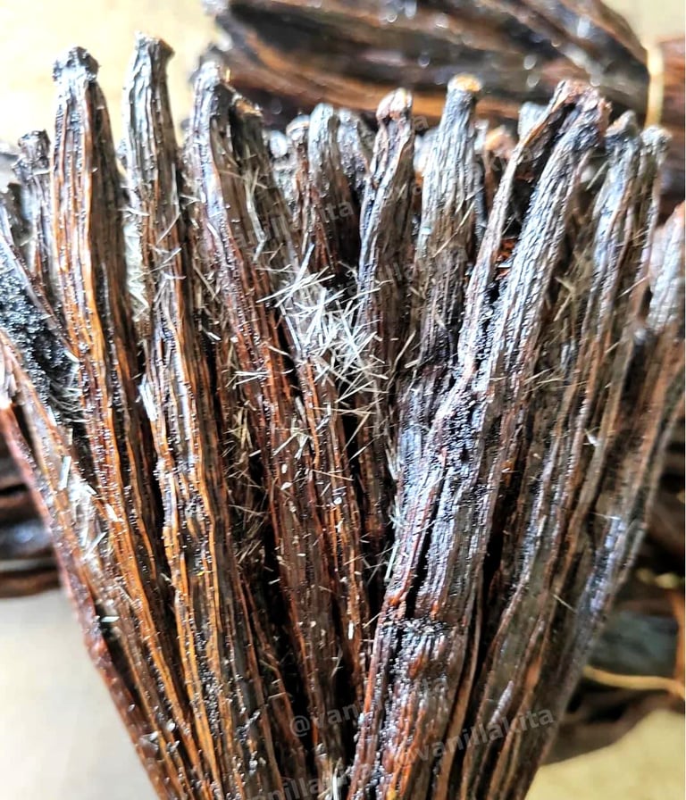 Up-close crystalized / frozen vanilla beans
