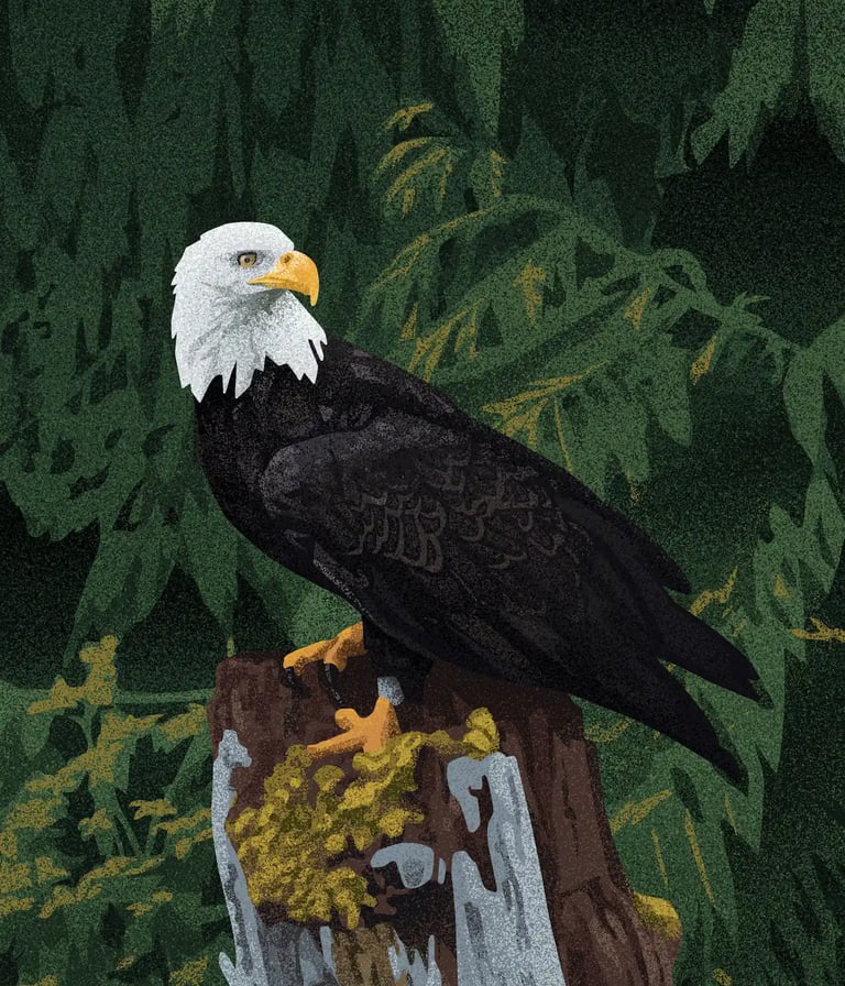 board game illustration of a bald eagle perched on a stump