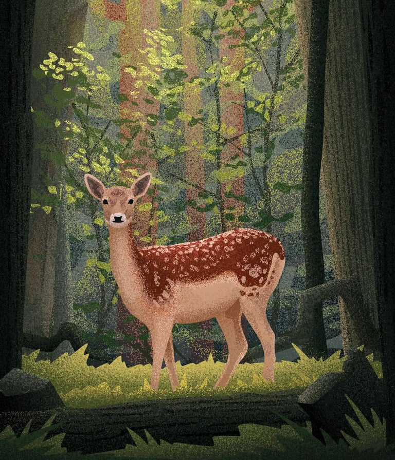 board game illustration of a deer standing in a sunlit forest