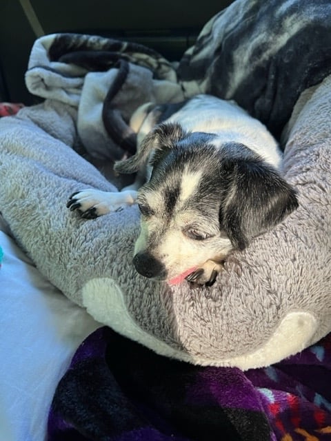 Gigi on Zoe's Birthday