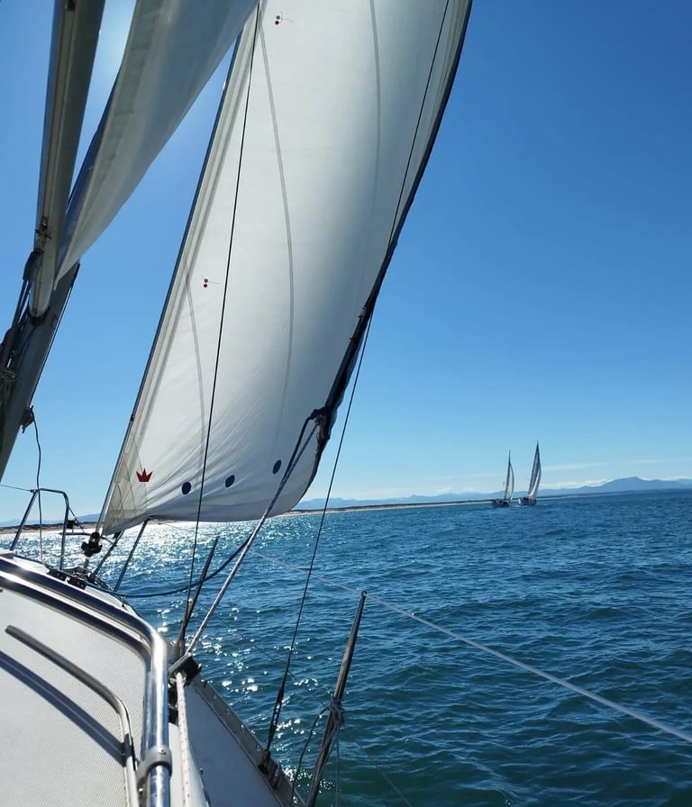 Sailing with Conciergerie Capbreton 0610838331