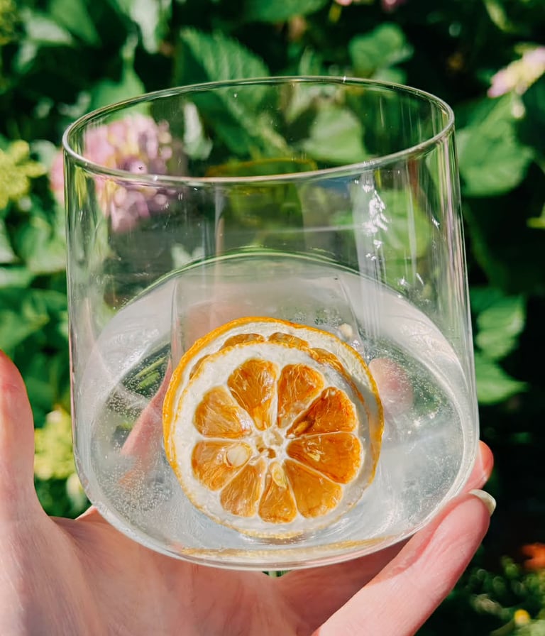Lemon slice in a Gin and Tonic