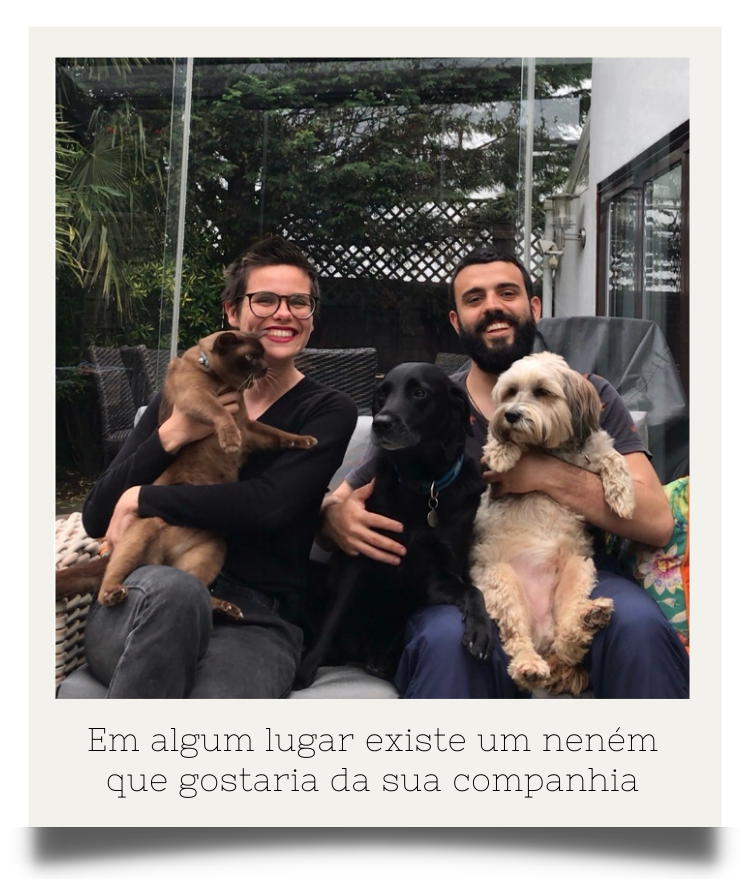 Capitu e Bentinho Por Ai - nomade digital - pet sitting 