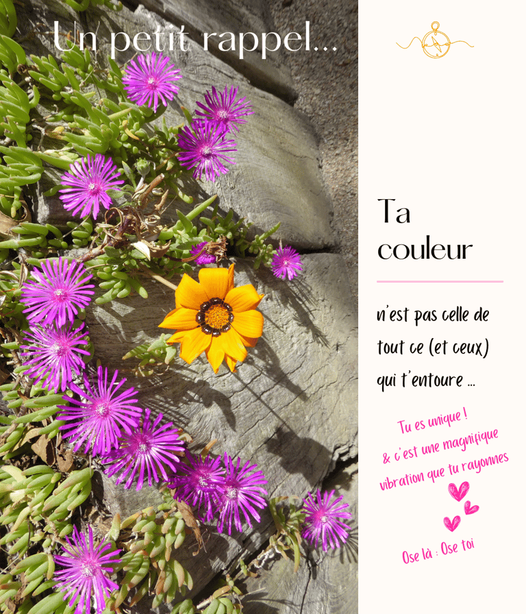 Tu es unique et ta vibration est précieuse