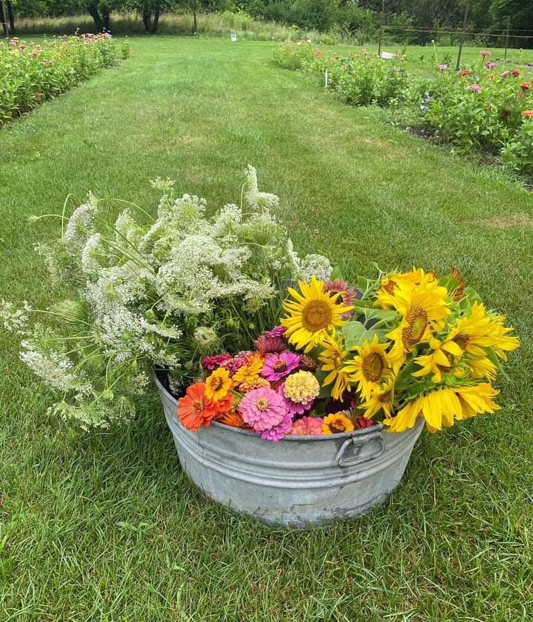 Galvanized Tub of Queen Anne's Lace, Sunflowers, Zinnias in Garden